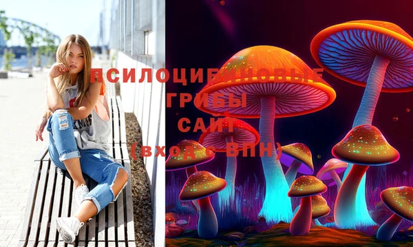 прущая мука Белоозёрский