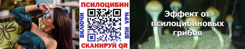 Псилоцибиновые грибы MAGIC MUSHROOMS  кракен зеркало  Тюкалинск  купить наркотики сайты 